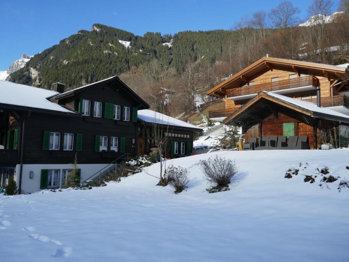 Apartment Chalet Schwendihus-10 By Interhome Grindelwald Exterior foto